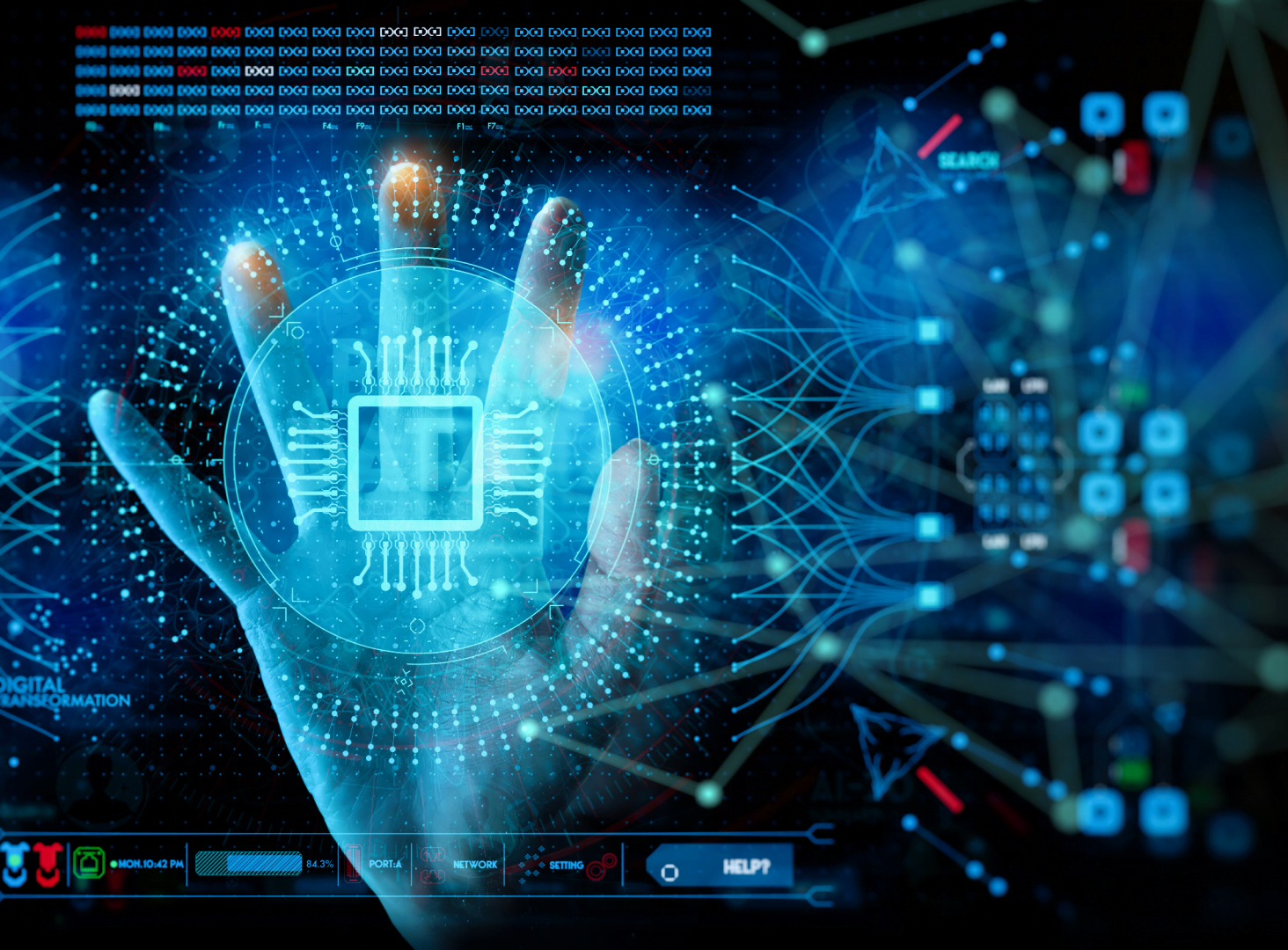Algorithms & Insights - Svexa