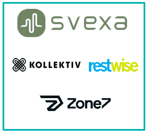 HL report Svexa group
