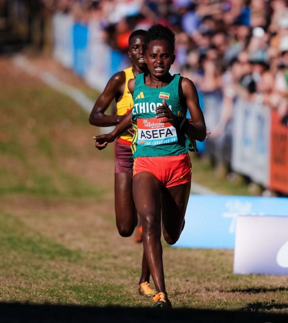 Wosane Asefa