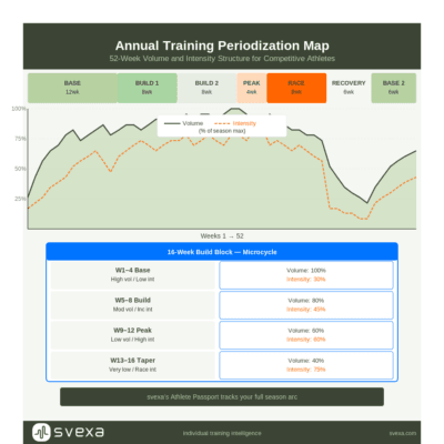 periodization