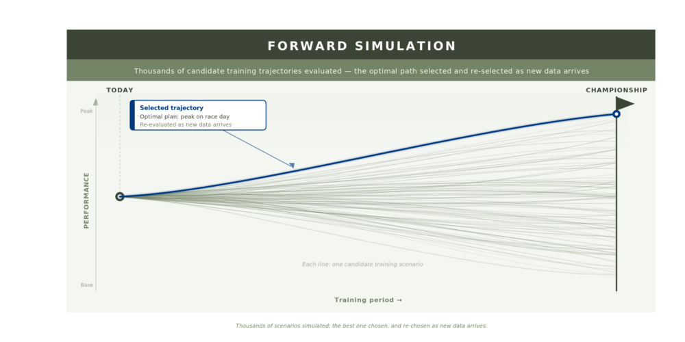 training simulation